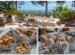 Chambres d'h&ocirc;tes &agrave; Favone, Corse-du-Sud, labellis&eacute;es G&icirc;tes de France : Terrasse Petit Dejeuner Chambre d'hotes Favone