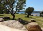 bed-and-breakfast - Chez Jeanne - FIGARI - Corse