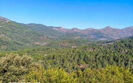 N &deg; Bed And Breakfast20381 Aull&egrave;ne - Corse - photo
