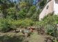 Chambres d'h&ocirc;tes &agrave; Favone, Corse-du-Sud, labellis&eacute;es G&icirc;tes de France : Jardin Collection d'Agrumes