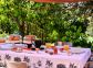 Chambre d'h&ocirc;tes &agrave; Calcatoggio, la c&ocirc;te ouest, en Corse du Sud, labellis&eacute; G&icirc;tes de France : la table ext&eacute;rieure