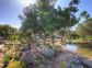 Chambres d'h&ocirc;te &agrave; Figari, le sud Corse en Corse du sud : le jardin d'ornement &agrave; l'entr&eacute;e