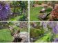 Chambres d'h&ocirc;tes &agrave; Favone, Corse-du-Sud, labellis&eacute;es G&icirc;tes de France : Jardin