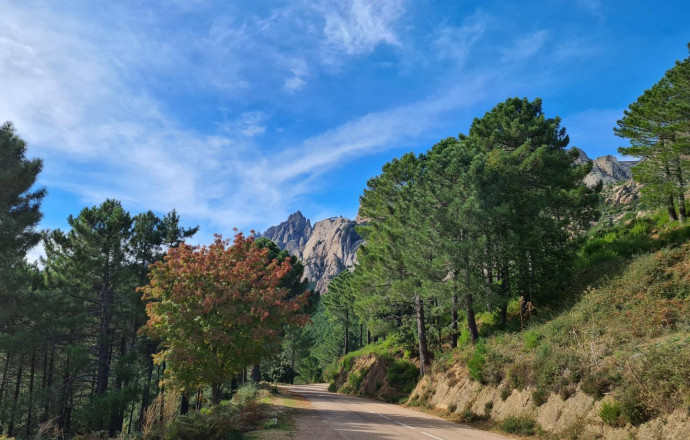 Circuit découverte des montagnes corses en chambres d'hôtes () - Circuit découverte des montagnes corses en chambres d'hôtes - photo
