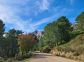 CIRMONT_62_84